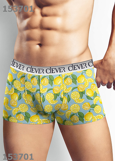 Трусы муж. Clever